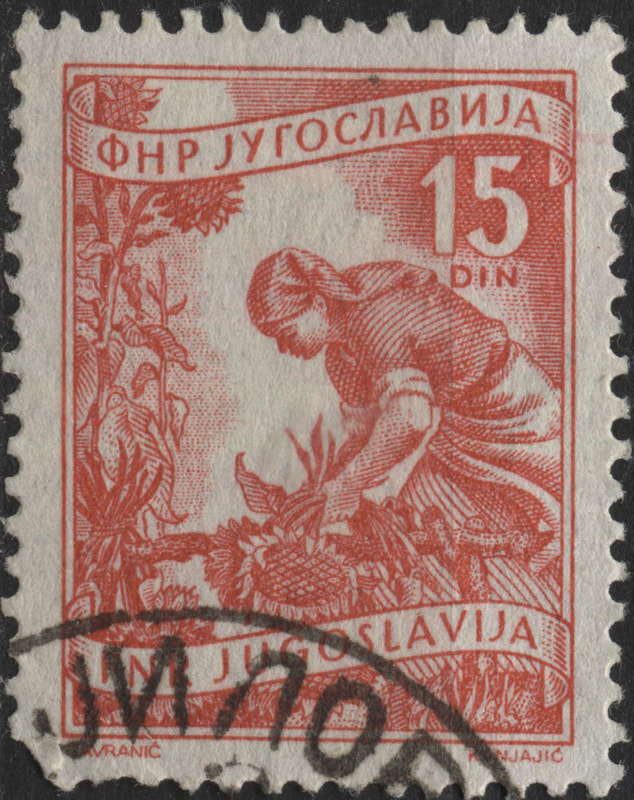 Picture